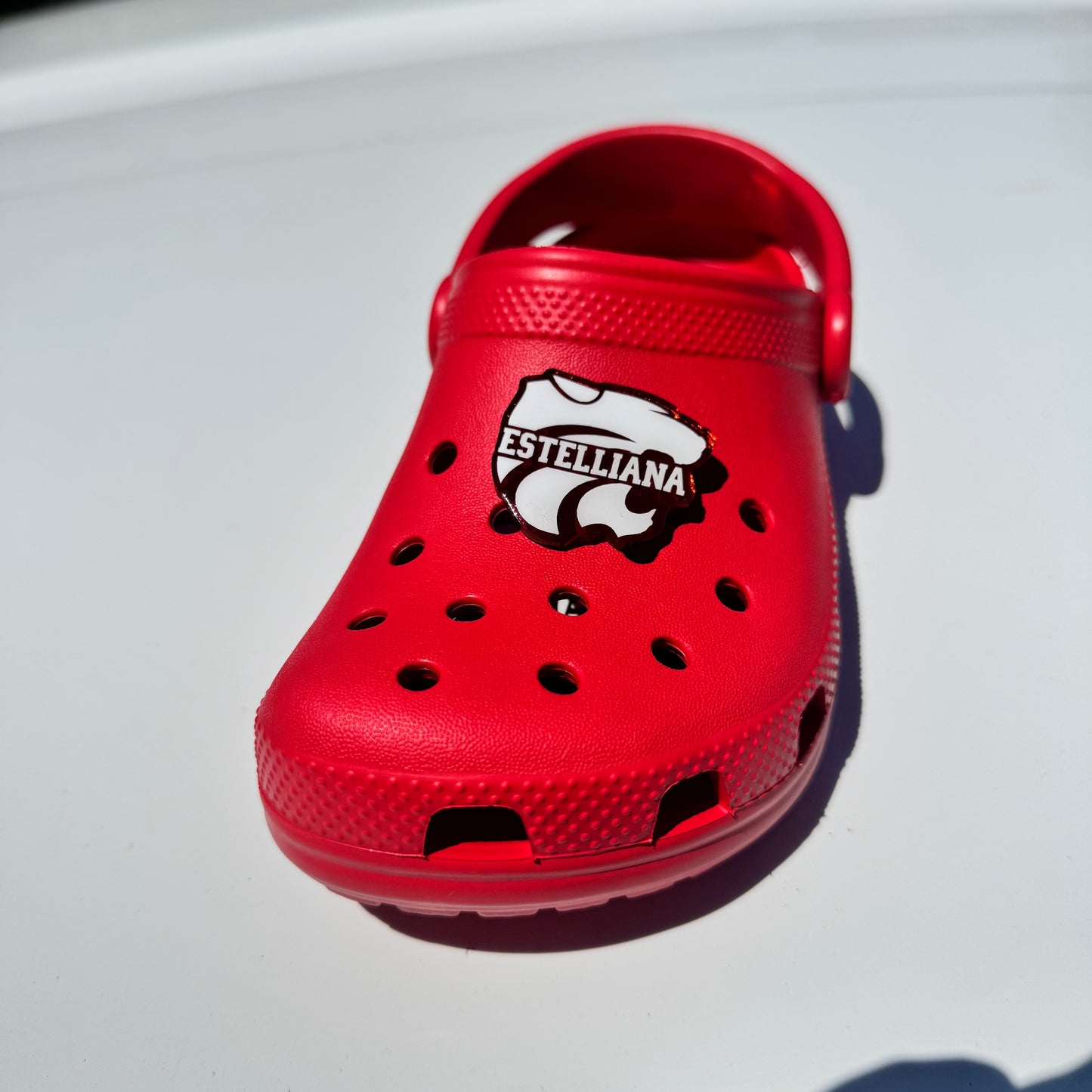 Custom Acrylic Croc Charm