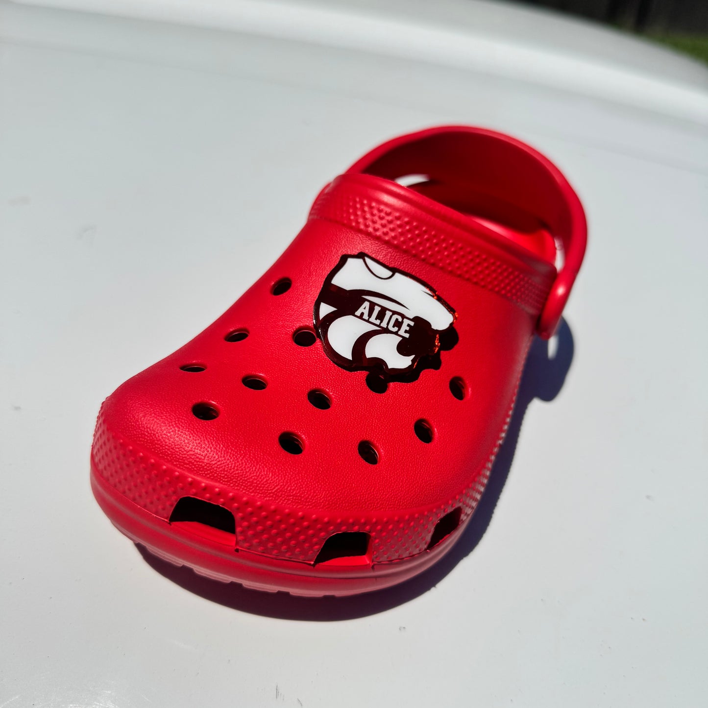 Custom Acrylic Croc Charm