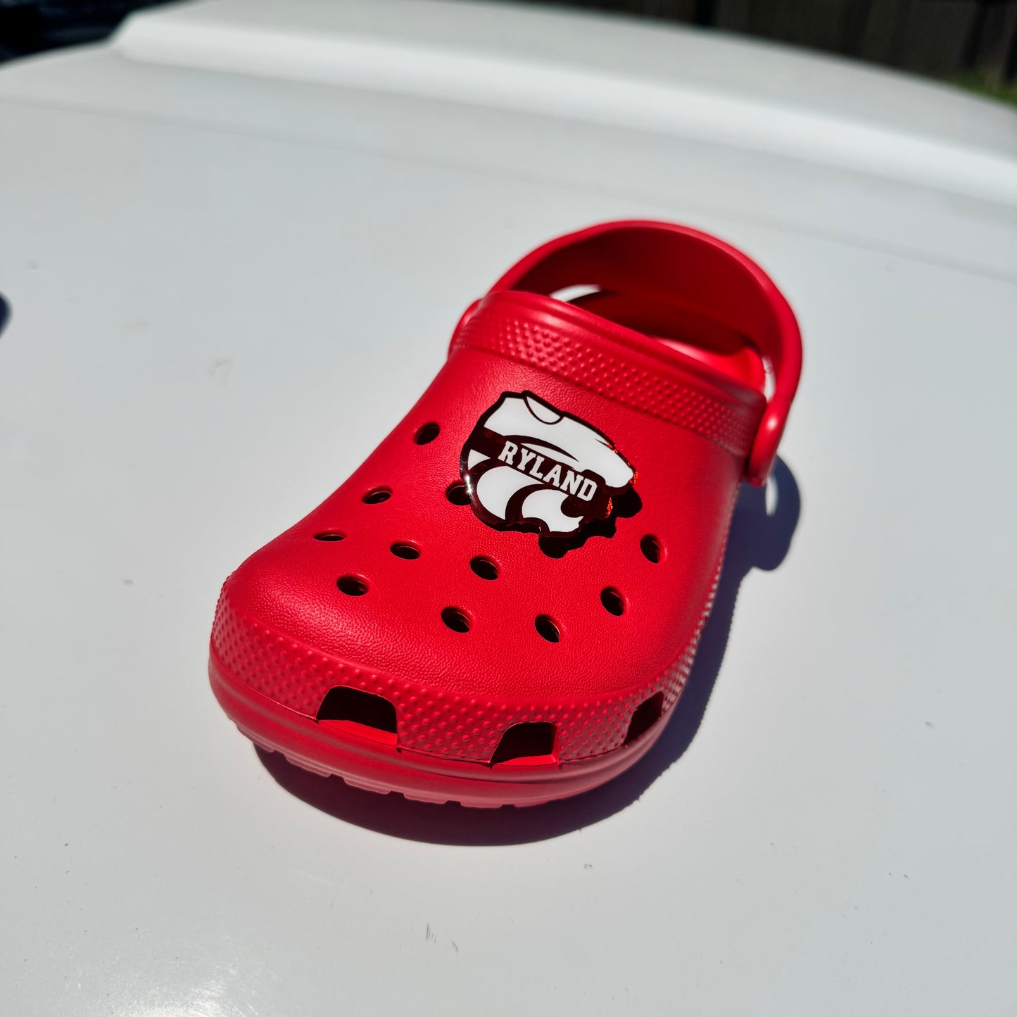 Custom Acrylic Croc Charm
