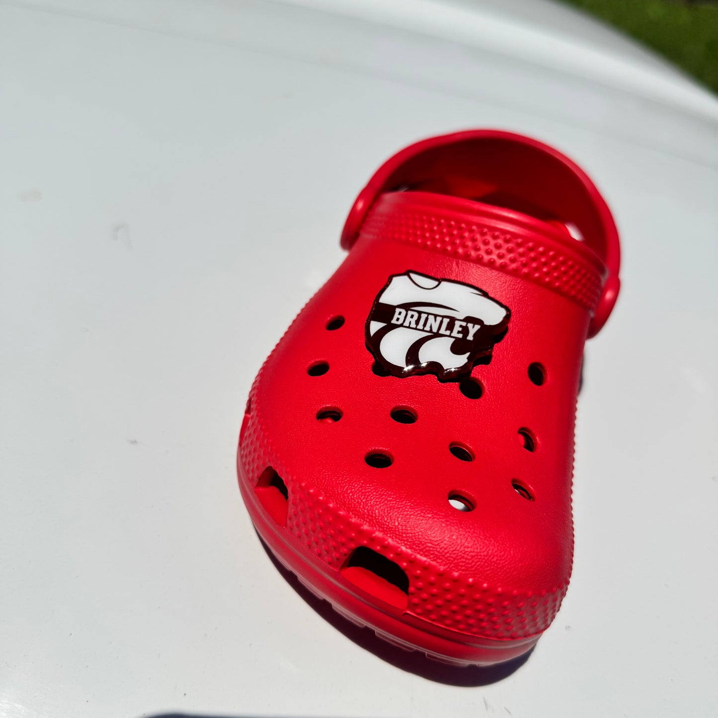 Custom Acrylic Croc Charm