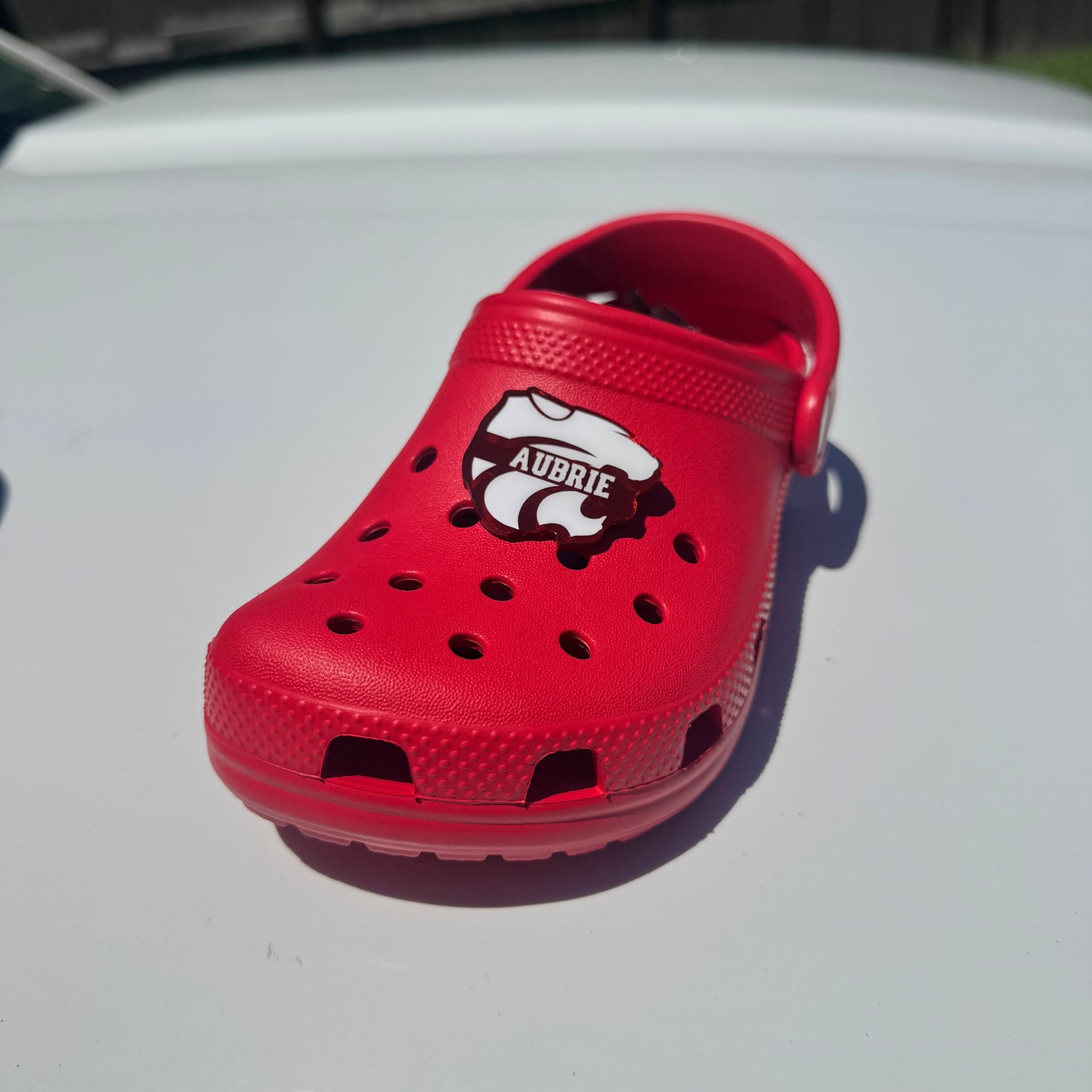 Custom Acrylic Croc Charm