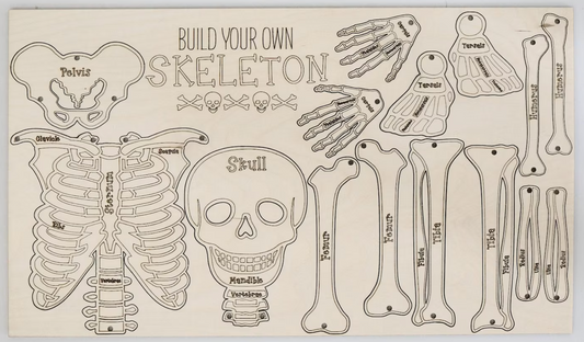 BUILD YOUR OWN SKELETON KIT