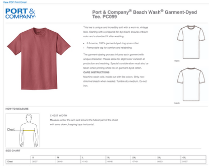 A S T R O S Black Garment Dyed Port & Company T-Shirt