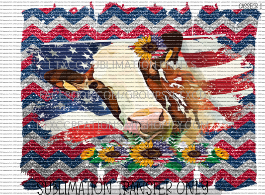 AMERICAN COW -  SUBLIMATION PRINT TRANSFER