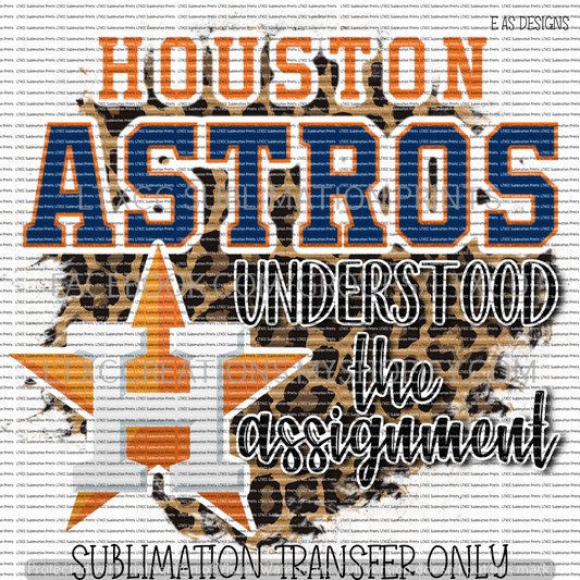 HOUSTON A S T R O S UNDERSTOOD THE ASSIGNMENT   -  SUBLIMATION PRINT TRANSFER