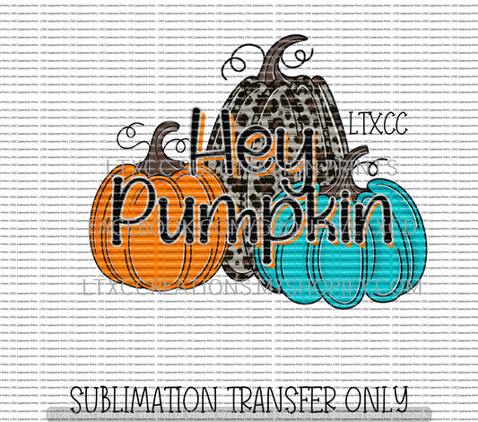 Hey Pumpkin - Fall - SUBLIMATION PRINT TRANSFER