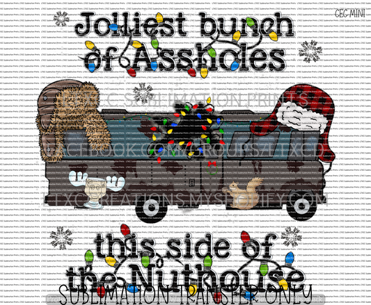 JOLLIEST BUNCH OF ASSHOLE THIS SIDE OF THE NUTHOUSE - SUBLIMATION PRINT TRANSFER