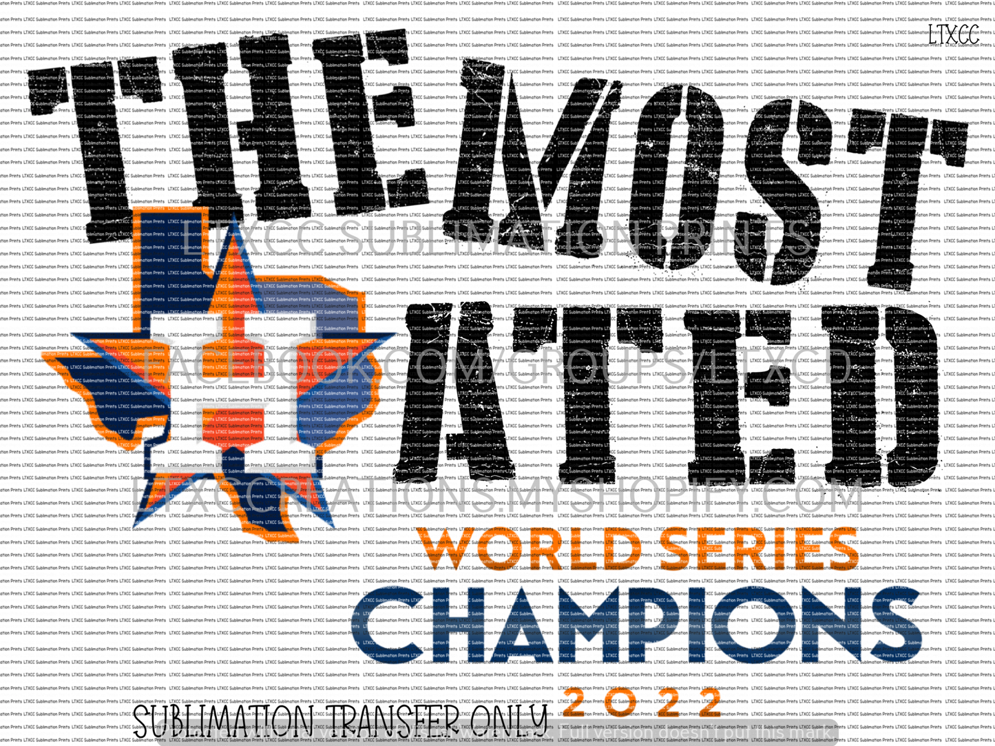 THE MOST HATED 2022 A S T R O S -  SUBLIMATION PRINT TRANSFER