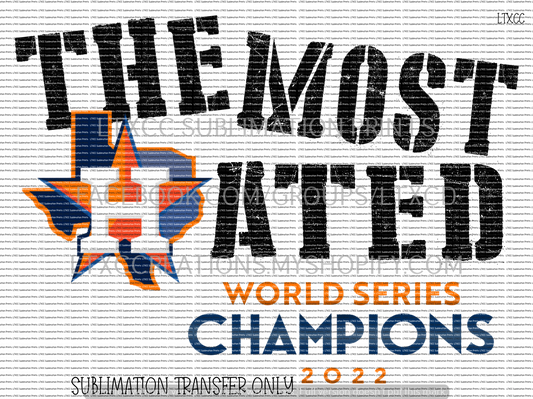 THE MOST HATED 2022 A S T R O S -  SUBLIMATION PRINT TRANSFER